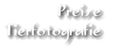 Preise  Tierfotografie